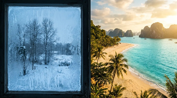 Vietnam for Canadian Travelers: The Winter Escape Guide (2026)