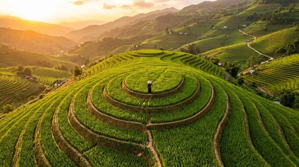 Vietnam Travel Guide for Australians: Where to Go & How Long to Stay (2026)