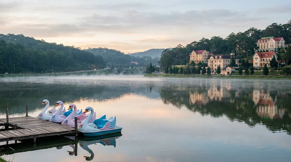 Da Lat Travel Guide 2026: Canyoning, Coffee & Cool Mountain Air