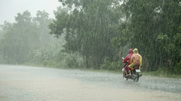 Vietnam in the Rainy Season: Where to Go Instead (September–November)